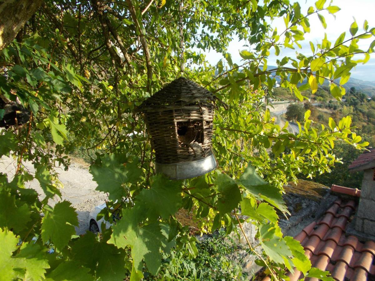 Casa De Sao Joao Das Castanheiras 레센데 외부 사진
