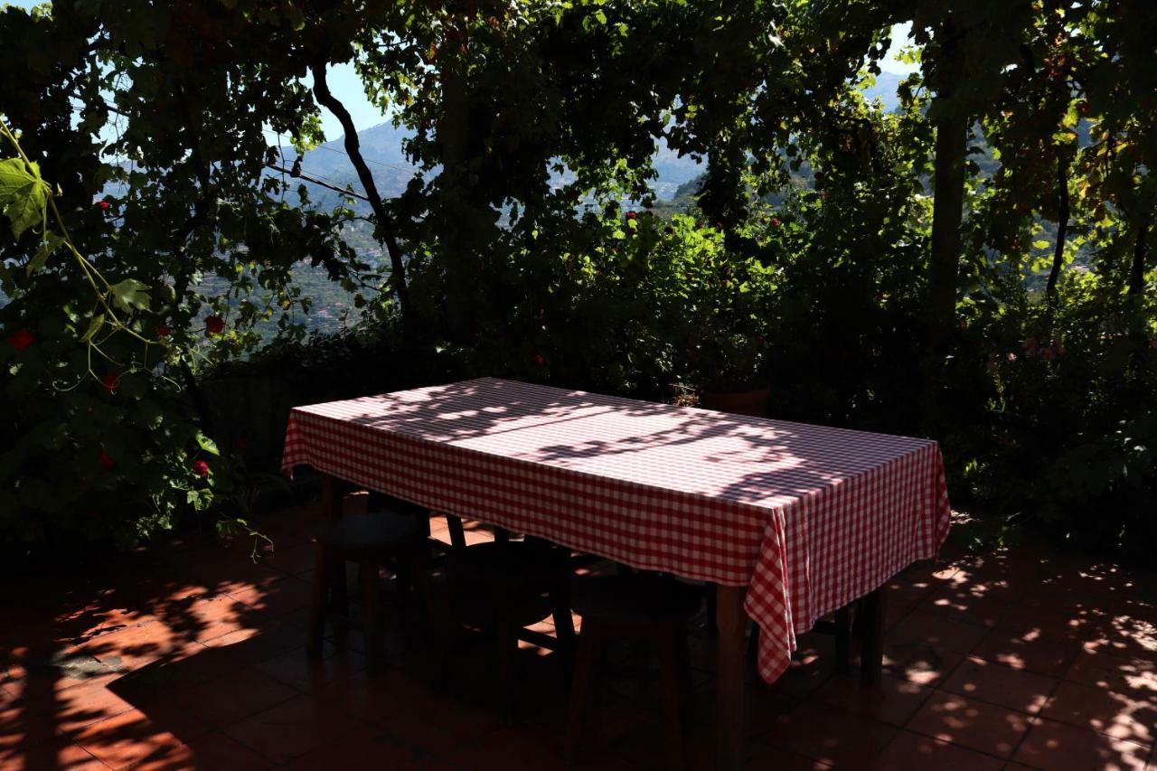 Casa De Sao Joao Das Castanheiras 레센데 외부 사진